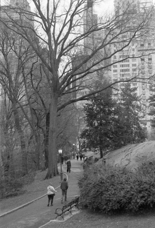 central park? i think?